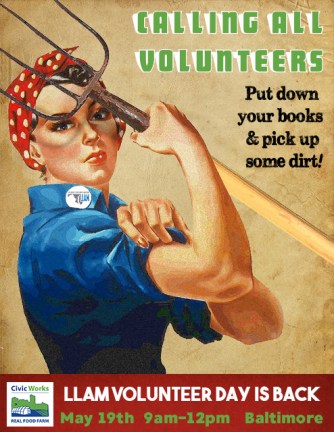 LLAM Volunteer Day 2018